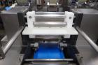 Dominioni Rsa 250 Ravioli Machine